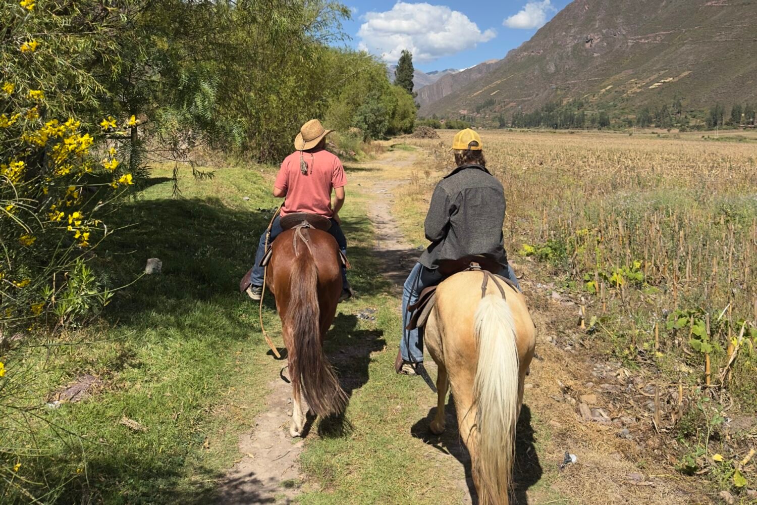 Unforgettable Sacred Valley Horseback Riding Adventure to Huchuy Qosqo