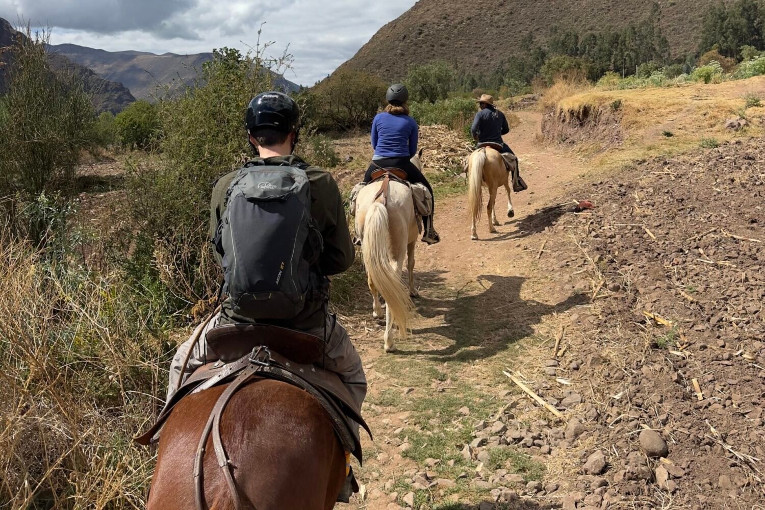 Andean Horseback Expedition