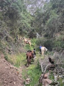 Sacred Valley Secret
