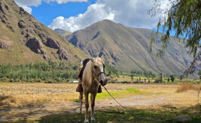 Sacred Valley Horseback Ridding Experiencies